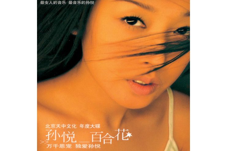 灰姑娘(孫悅演唱的歌曲) 灰姑娘(孫悅演唱的歌曲)