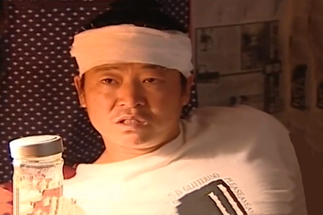 卜文革