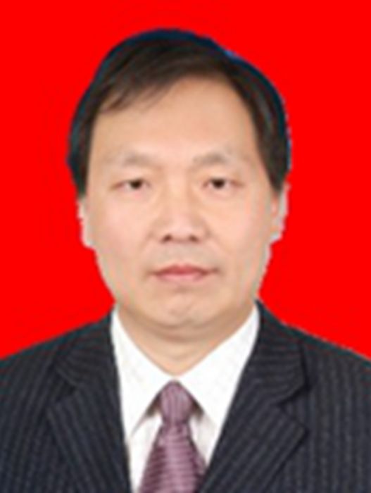 王銀軍(甘肅省廣播電視總台黨委委員、副台長) 王銀軍(甘肅省廣播電視總台黨委委員、副台長)