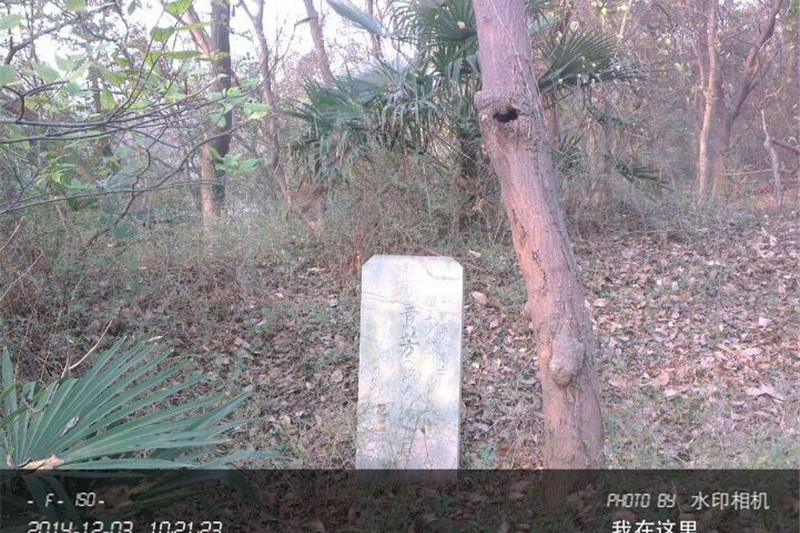 馬貢芳墓 馬貢芳墓