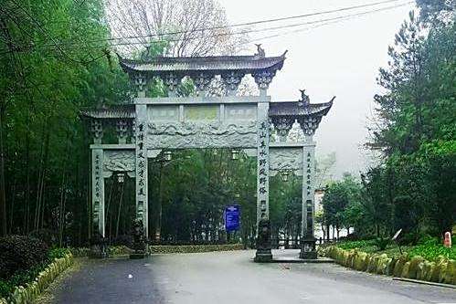 霧溪村 霧溪村