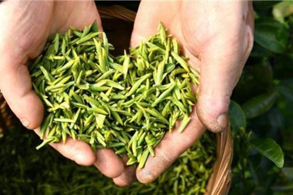 烏牛茶 烏牛茶