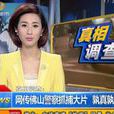 真相調查(央視新聞節目) 真相調查(央視新聞節目)