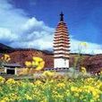蛇骨塔寺