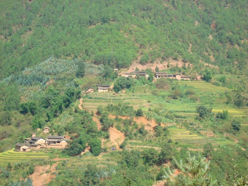 羅格堵村 羅格堵村
