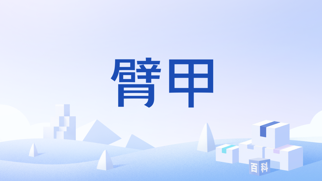 臂甲(《艾爾登法環》中的裝備類型) 臂甲(《艾爾登法環》中的裝備類型)