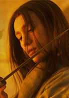 龍門飛甲(2011年徐克、張之亮執導電影)