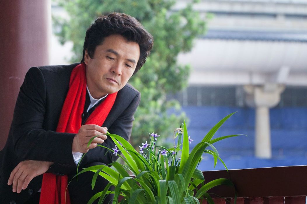 芷蘭花 芷蘭花