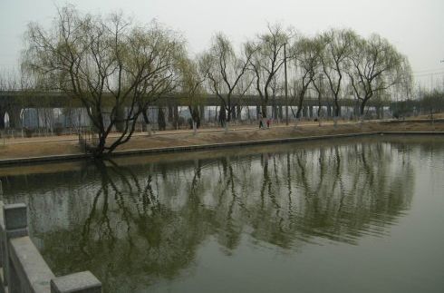 西濼河 西濼河
