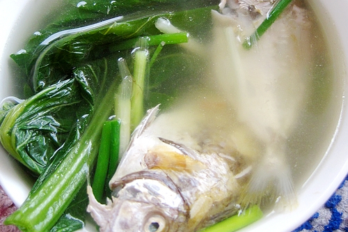 芥菜海魚湯 芥菜海魚湯
