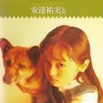無家可歸的小孩(沒有家的女孩) 無家可歸的小孩(沒有家的女孩)