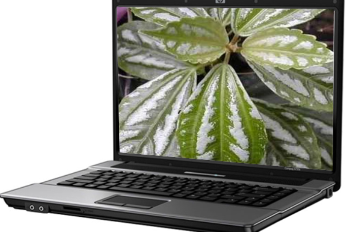 惠普Compaq 6520s(GU421PA) 惠普Compaq 6520s(GU421PA)