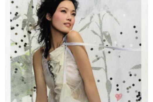混血兒(容祖兒《Bi-Heart》專輯中的歌曲) 混血兒(容祖兒《Bi-Heart》專輯中的歌曲)
