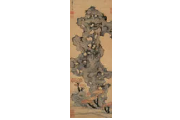 秀石靈芝 秀石靈芝