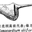喙殼綱 喙殼綱