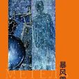 暴風雪((俄)索羅金著小說) 暴風雪((俄)索羅金著小說)