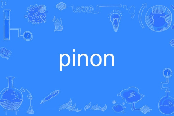 pinon pinon