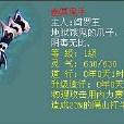 幽冥鬼手(網易遊戲《大話西遊2》法寶) 幽冥鬼手(網易遊戲《大話西遊2》法寶)