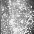 Fireworks(Pierre Le Hors著圖書) Fireworks(Pierre Le Hors著圖書)