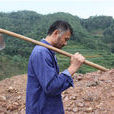 現代愚公 現代愚公
