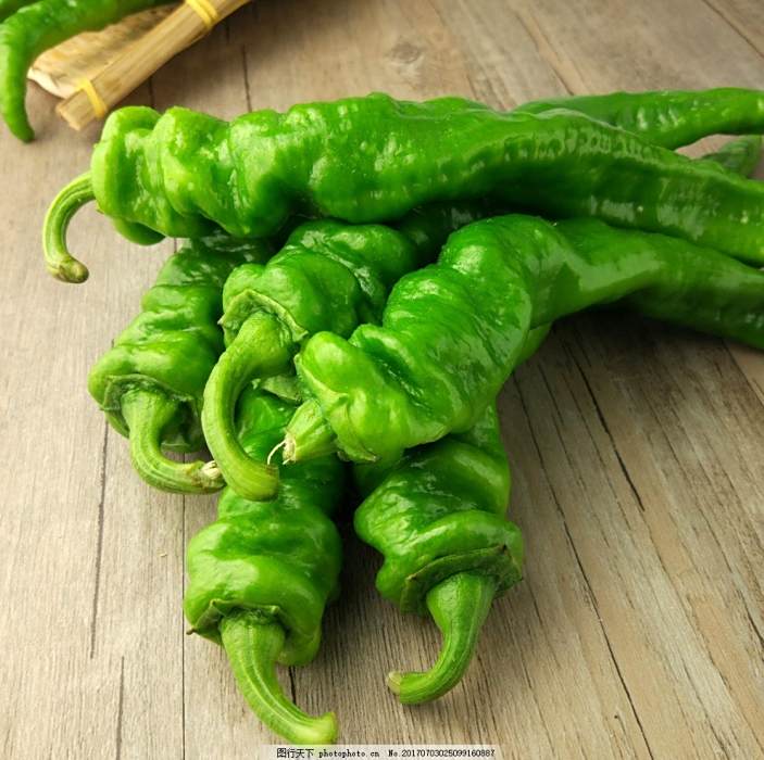 首椒二號 首椒二號