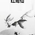 紅鸞仙 紅鸞仙