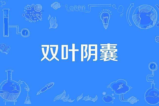雙葉陰囊 雙葉陰囊