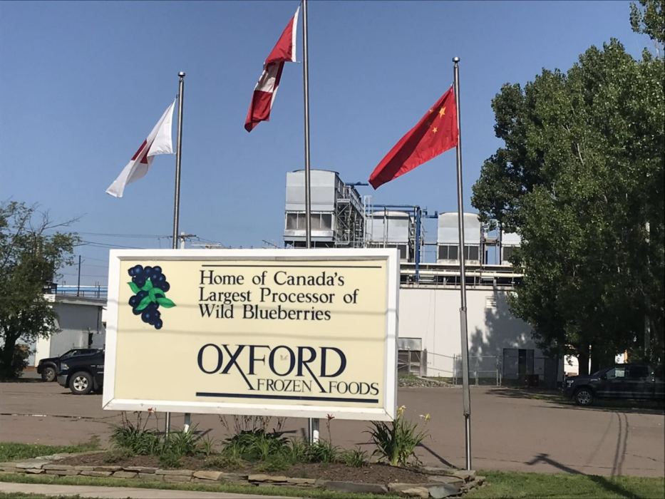 Oxford Frozen Foods Limited Oxford Frozen Foods Limited