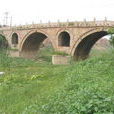 登瀛橋(滄州杜林橋(登瀛橋)) 登瀛橋(滄州杜林橋(登瀛橋))