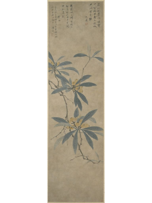 枇杷圖(明代沈周創作的紙本設色畫) 枇杷圖(明代沈周創作的紙本設色畫)