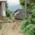 下莊三村 下莊三村