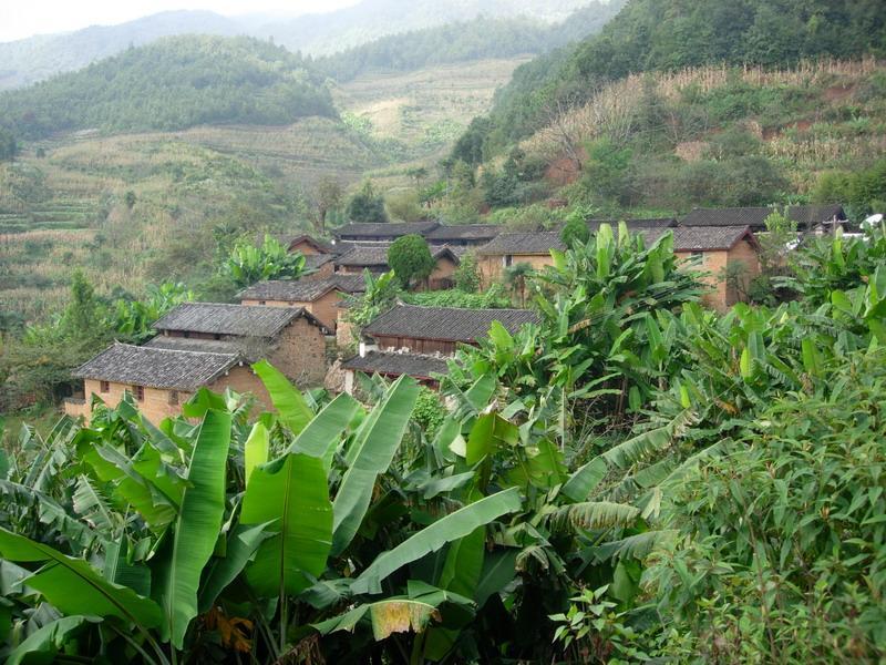 大蕨地村
