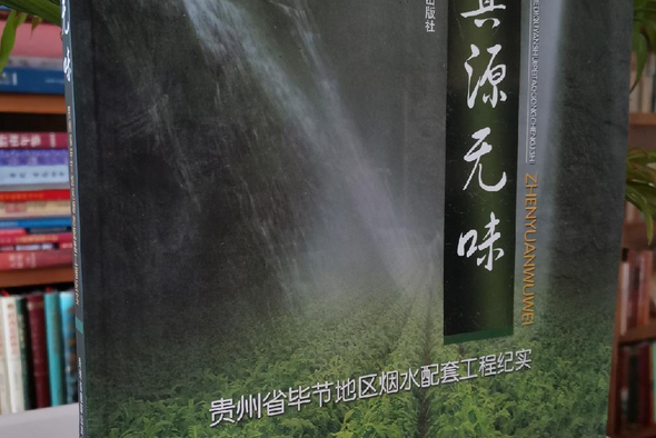 真源無味 真源無味