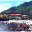 處州廊橋 處州廊橋