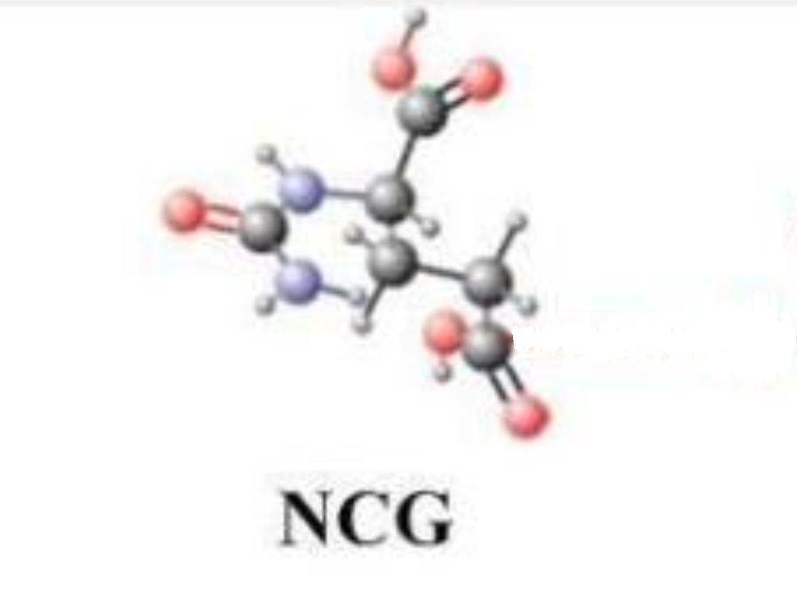 N-氨基甲醯谷氨酸