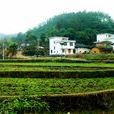 凌源村(江西省贛州市章貢區水西鎮) 凌源村(江西省贛州市章貢區水西鎮)