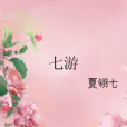 七游 七游