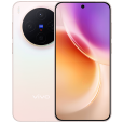 vivo X300