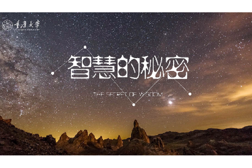 智慧的秘密 智慧的秘密