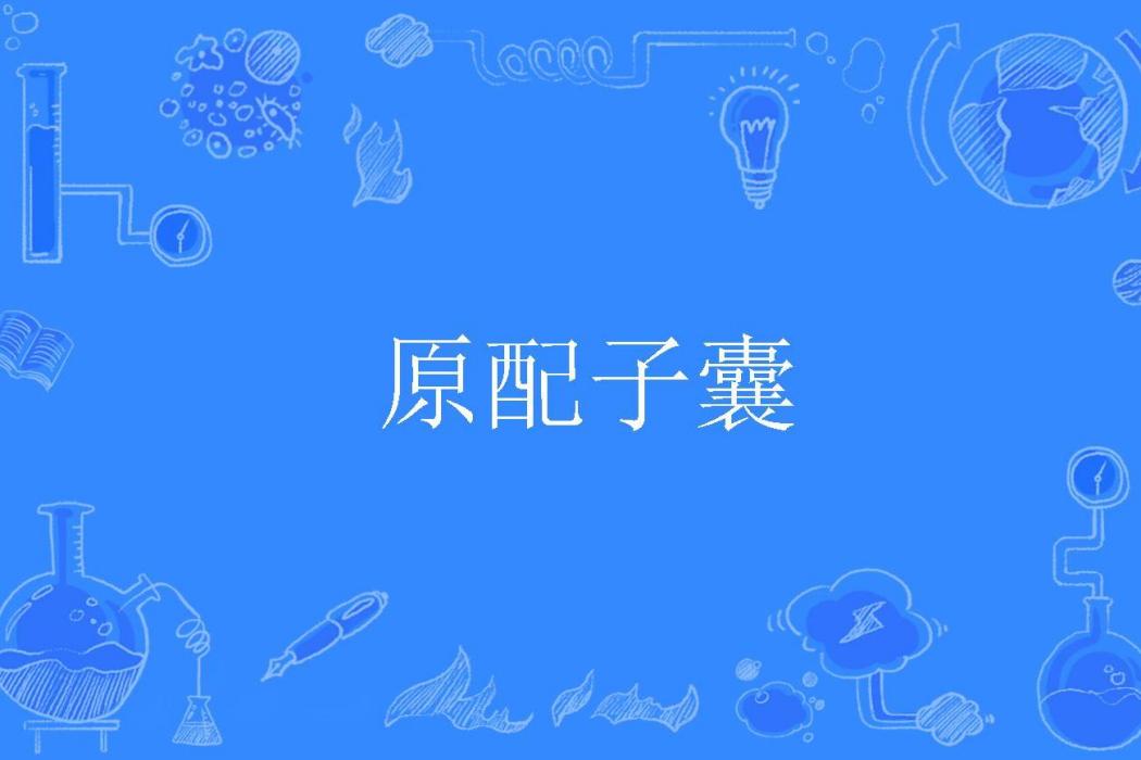 原配子囊 原配子囊