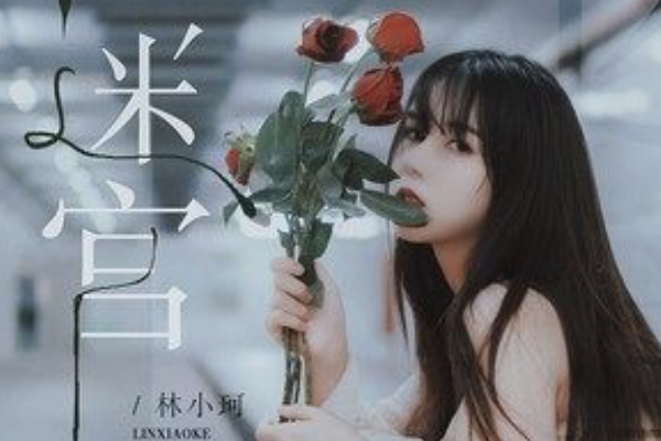 迷宮(2022年林小珂演唱的歌曲) 迷宮(2022年林小珂演唱的歌曲)