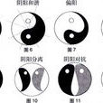陰陽轉化 陰陽轉化