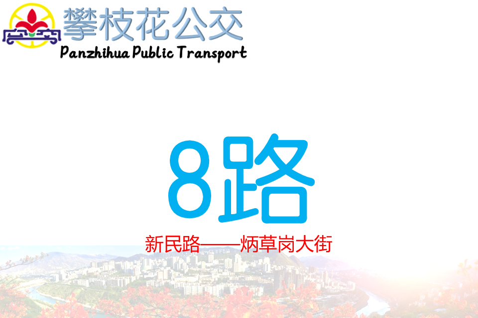 攀枝花公交8路 攀枝花公交8路