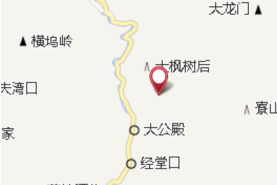 大楓樹後 大楓樹後