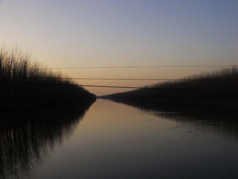 東魚河(紅衛河)