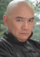 大國醫(2009年吳子牛執導電視劇)