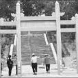 連舜賓 連舜賓