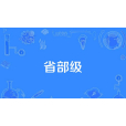 省部級(省級)