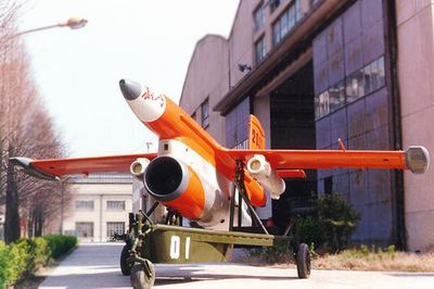 圖-143低空戰術無人偵察機