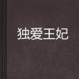 獨愛王妃 獨愛王妃
